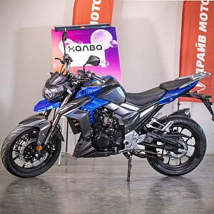 Мотоцикл Regulmoto T-Leopard 300 (Синий, , 100015-1)