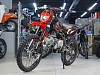 Питбайк Regulmoto SEVEN MEDALIST PRO 19/16 (Черный/красный, 201490-2)