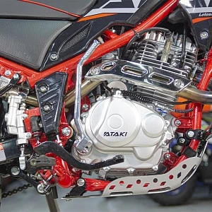 Мотоцикл ATAKI TRACKER 250 (4T 165FMM) ПТС 21/18 (2023 г.)