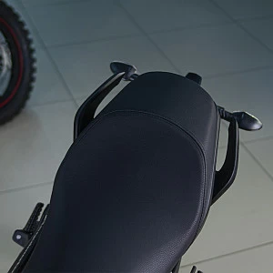 Мотоцикл Regulmoto ALIEN MONSTER 300 (Черный, , 100012-3)