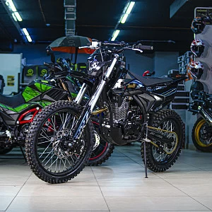 Мотоцикл кроссовый BRZ X6 PR300