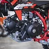 Питбайк PitonMoto PX2 70ЕА 10/10