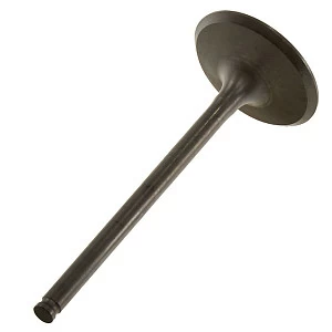 Клапан впускной двиг. ZT184MP