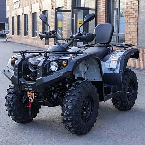 Квадрицикл BALTMOTORS BM500 EFI / EPS (серый)