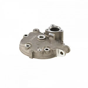 Головка цилиндра GR7 двиг. MT-250 2T OEM